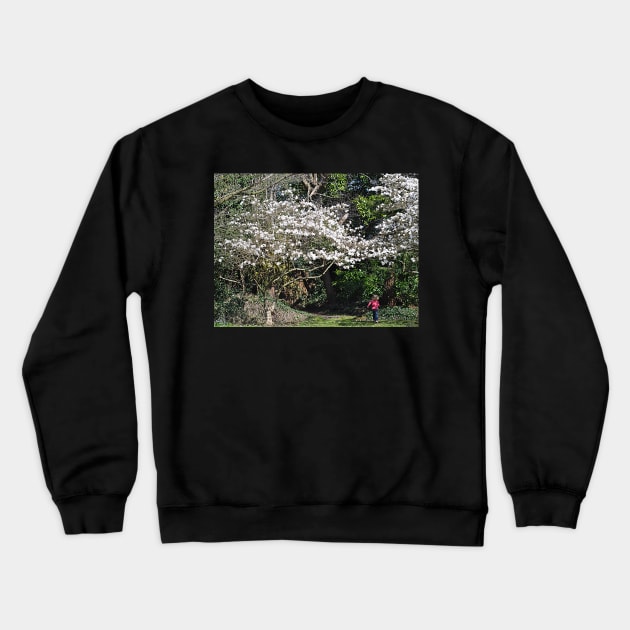 Enter the world of make believe Crewneck Sweatshirt by declancarr